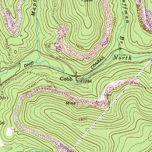 Topographic Map of Cobb, WV