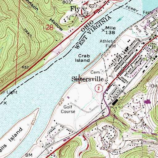 Topographic Map of Cow Hollow Run, WV
