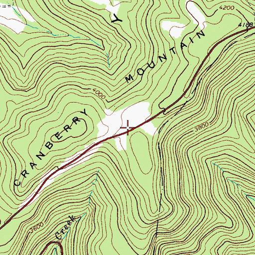 Topographic Map of Cranberry Mountain, WV