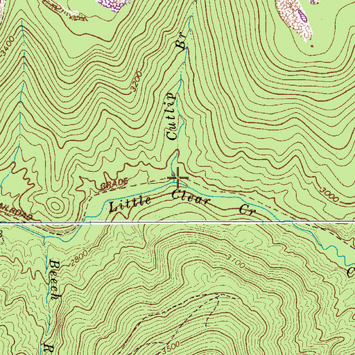 Topographic Map of Cutlip Branch, WV
