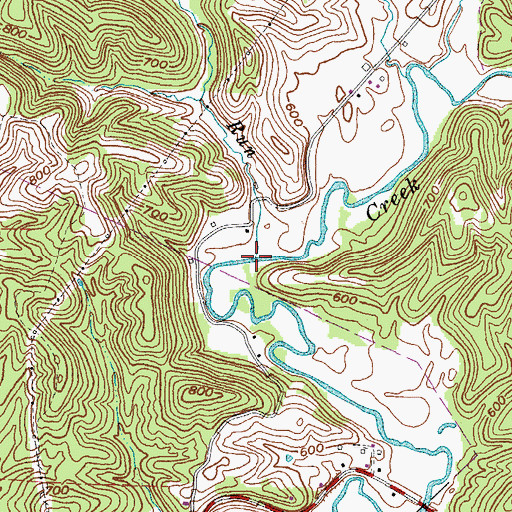 Topographic Map of Daves Run, WV