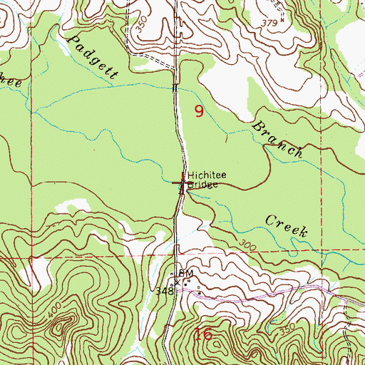 Topographic Map of Hichitee Bridge, AL