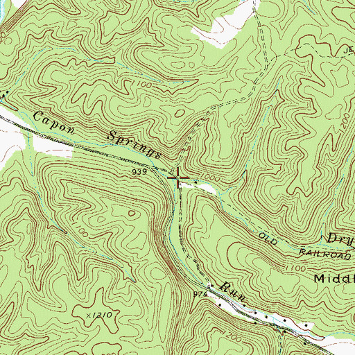 Topographic Map of Dry Run, WV