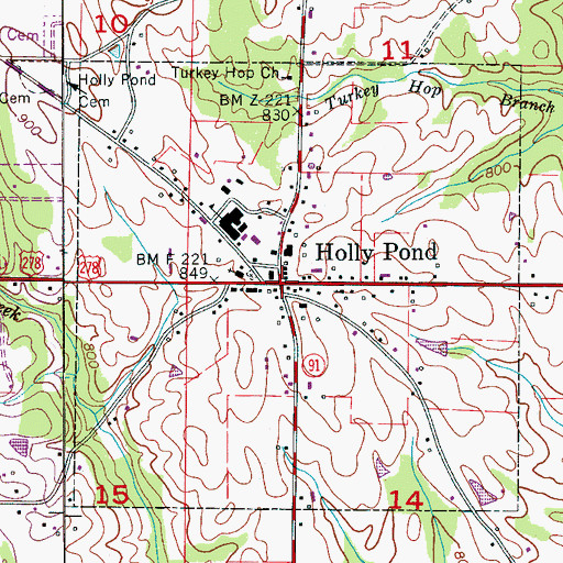 Topographic Map of Holly Pond, AL