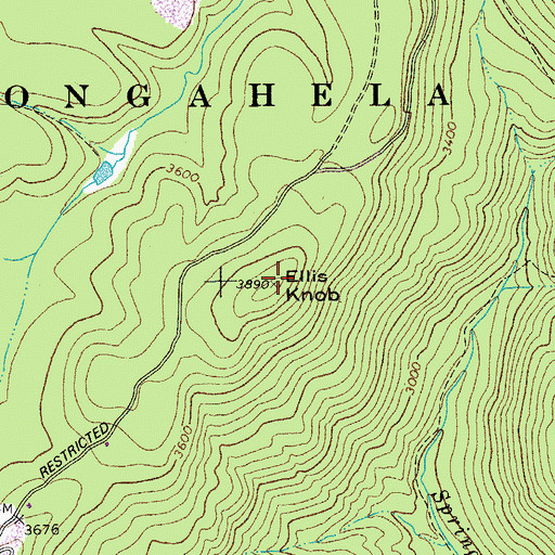 Topographic Map of Ellis Knob, WV