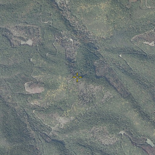 Aerial/Satellite Image of Evick Knob, WV