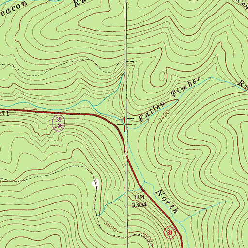 Topographic Map of Fallen Timber Run, WV