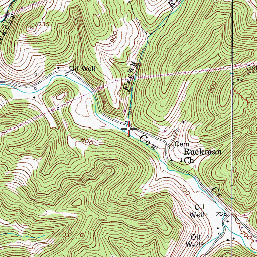 Topographic Map of Feeny Run, WV