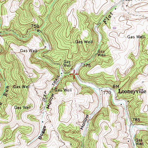Topographic Map of Flat Fork, WV