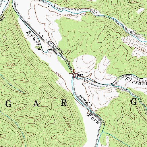 Topographic Map of Flesher Run, WV