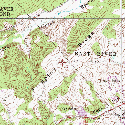 Topographic Map of Flippins Ridge, WV