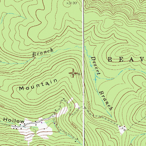 Topographic Map of Fork Mountain, WV