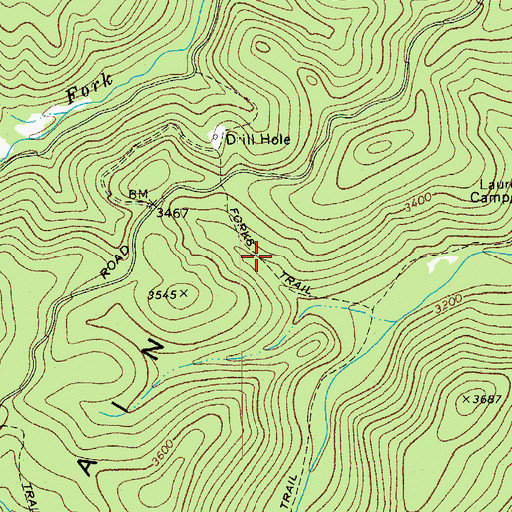 Topographic Map of Forks Trail, WV