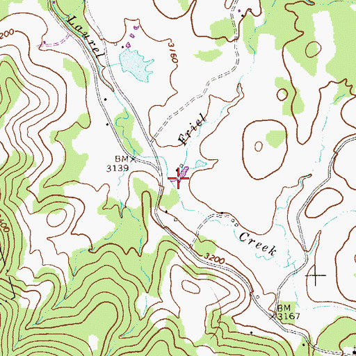 Topographic Map of Friel Run, WV