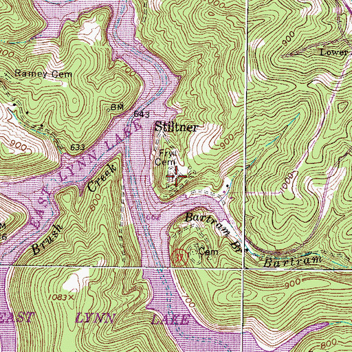 Topographic Map of Fry Cemetery, WV