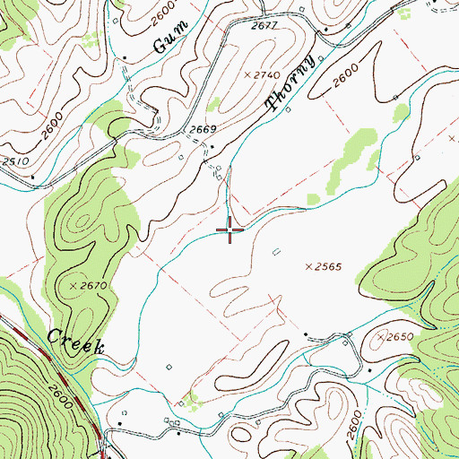 Topographic Map of Galford Run, WV