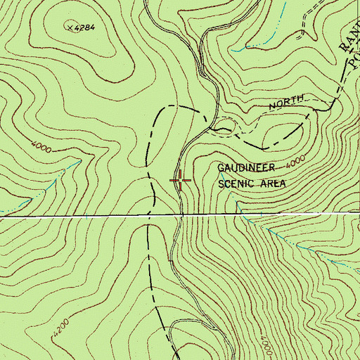 Topographic Map of Gaudineer Scenic Area, WV
