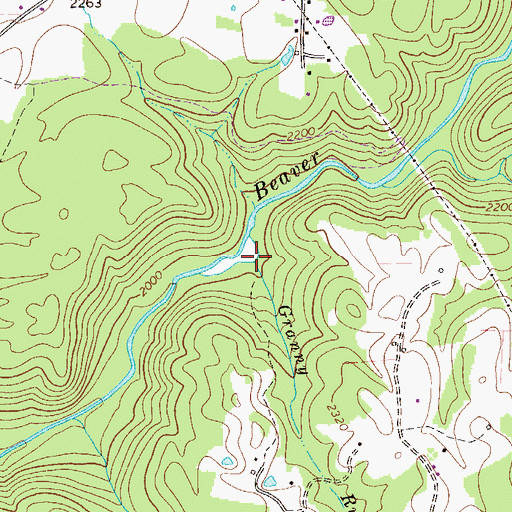 Topographic Map of Granny Run, WV