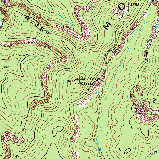 Topographic Map of Grassy Knob, WV