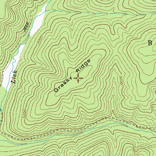 Topographic Map of Grassy Ridge, WV