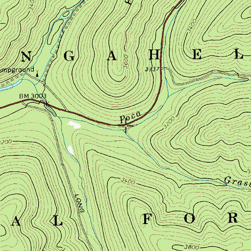 Topographic Map of Grassy Run, WV