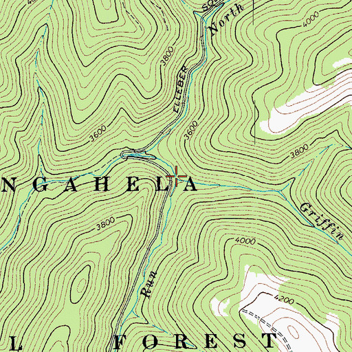 Topographic Map of Griffin Run, WV