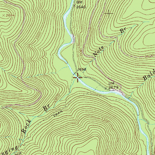 Topographic Map of Hanging Rock Branch, WV