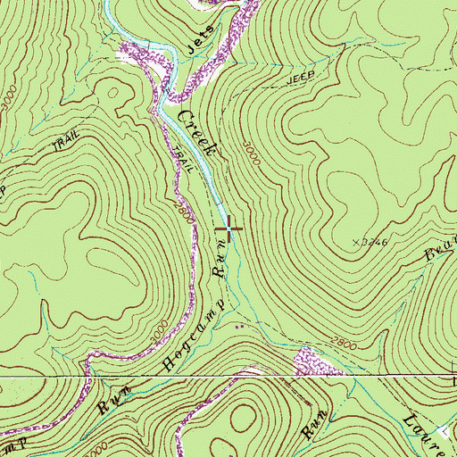 Topographic Map of Hogcamp Run, WV