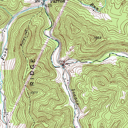 Topographic Map of Isaacs Fork, WV