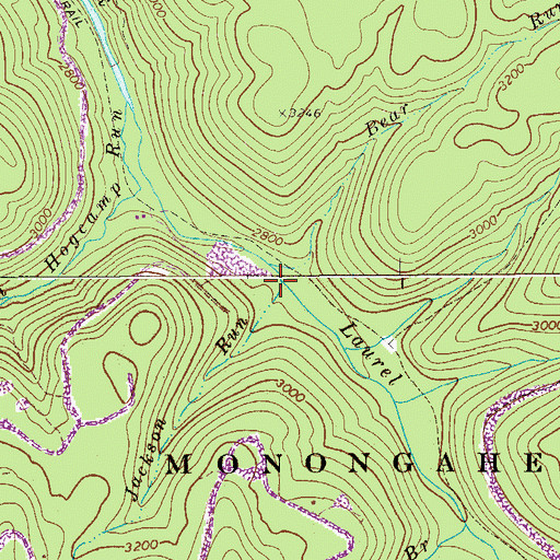 Topographic Map of Jackson Run, WV
