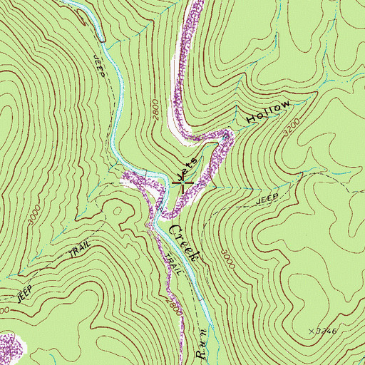 Topographic Map of Jets Hollow, WV