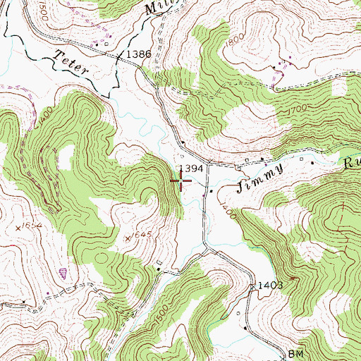 Topographic Map of Jimmy Run, WV