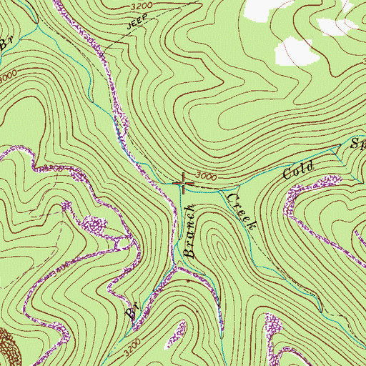 Topographic Map of Job Knob Branch, WV
