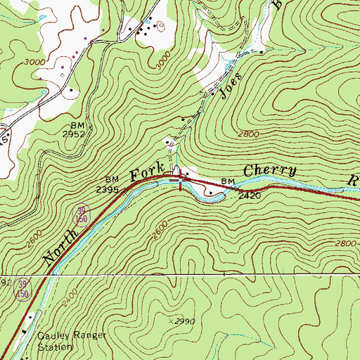 Topographic Map of Joes Branch, WV