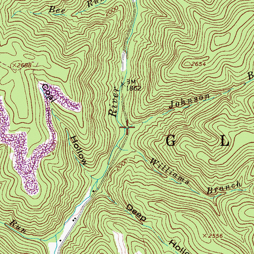 Topographic Map of Johnson Branch, WV