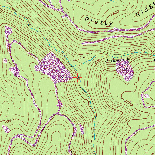 Topographic Map of Johnson Branch, WV