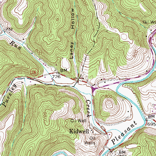 Topographic Map of Laney Hollow, WV