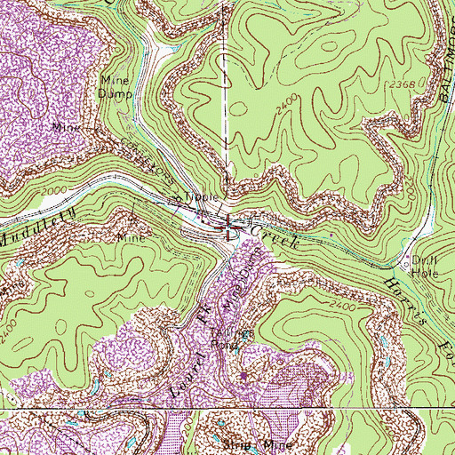 Topographic Map of Laurel Fork, WV