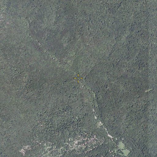 Aerial/Satellite Image of Laurel Run, WV