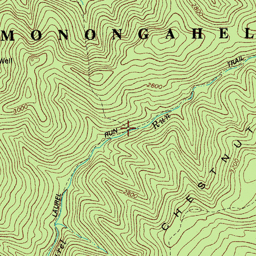 Topographic Map of Laurel Run Trail, WV