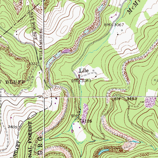 Topographic Map of Lile, WV