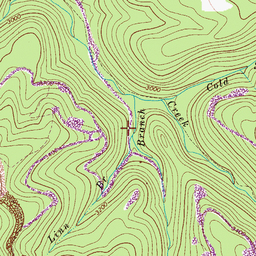 Topographic Map of Linn Branch, WV