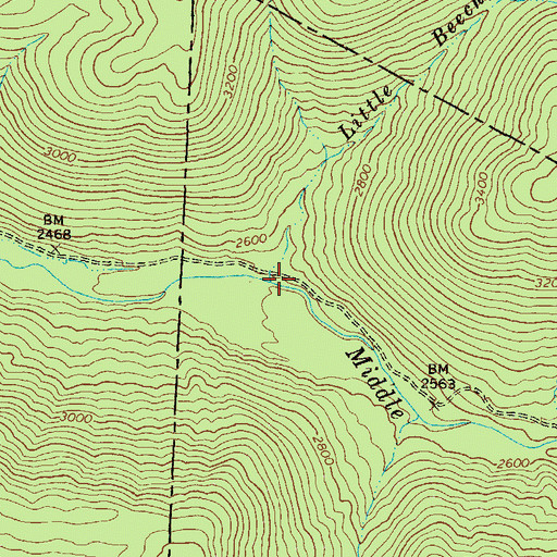 Topographic Map of Little Beechy Run, WV