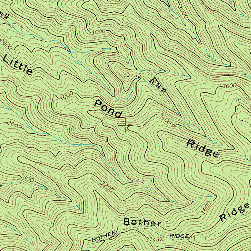 Topographic Map of Little Pond Ridge, WV