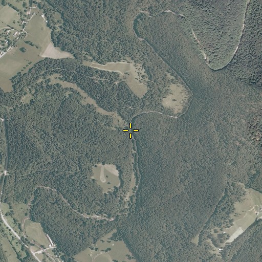 Aerial/Satellite Image of Low Gap Run, WV
