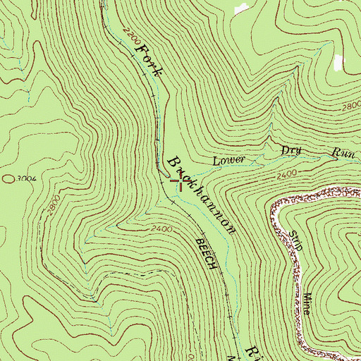 Topographic Map of Lower Dry Run, WV