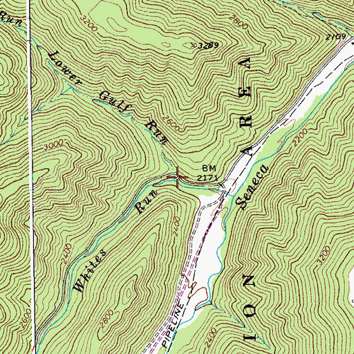 Topographic Map of Lower Gulf Run, WV