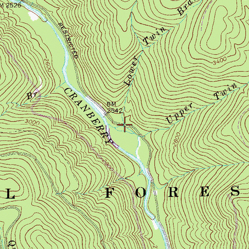 Topographic Map of Lower Twin Branch, WV