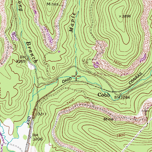 Topographic Map of Maple Branch, WV