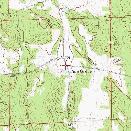 Topographic Map of Pine Grove, AL
